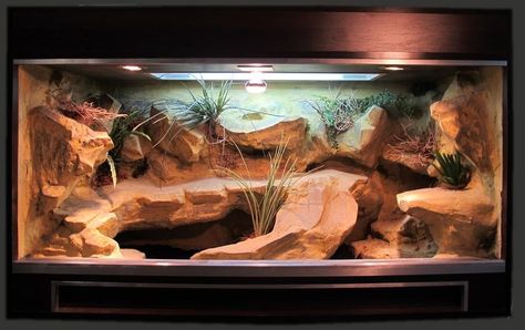 Bearded Dragon Vivarium, Lizard Terrarium, Gecko Habitat, Bearded Dragon Diy, Bearded Dragon Terrarium, Bearded Dragon Enclosure, Bearded Dragon Funny, Bearded Dragon Cage, Bearded Dragon Habitat