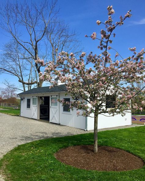 Mini Horse Barn, Simple Horse Barns, Small Horse Barn, Storage Barn, Small Horse Barns, Stable Style, Kennel Ideas, Backyard Barn, Small Barns