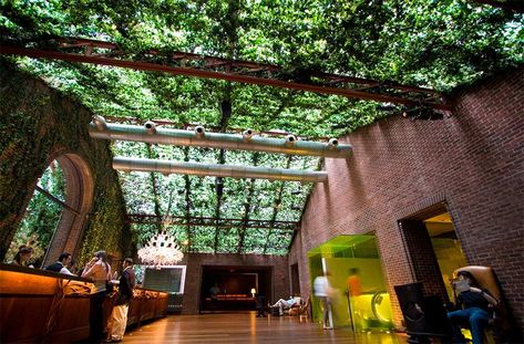 Hudson Hotel lobby includes a green canopy French Canopy Bed, Outdoor Canopy Bed, Hudson Hotel, Ikea Canopy, Hudson New York, Canvas Canopy, Canopy Architecture, Kids Canopy, Canopy Bedroom