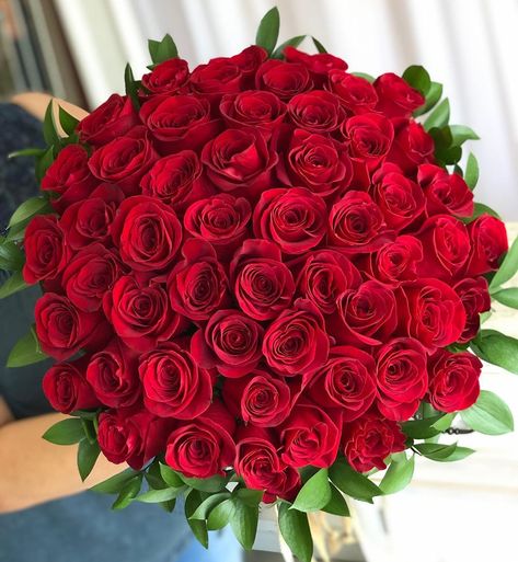 www.coralpath.co on Instagram: “50 red roses in a bouquet tied up by the best! 🌹❤️” 50 Rose Bouquet, 50 Red Roses Bouquet, Flowers Roses Bouquet, Red Roses Bouquet, Luxury Florists, Wedding Background Images, Monogram Cake, Red Bouquet, Red Rose Bouquet