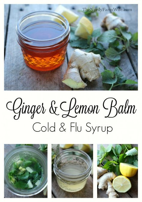 How to make an easy Ginger & Lemon Balm Cold & Flu Syrup for your natural medicine cabinet Herbal Antibiotics, Natural Syrup, Fit Quotes, Ginger And Lemon, Natural Medicine Cabinet, Alligator Purse, Fit Bodies, Quotes Health, Farm Wife