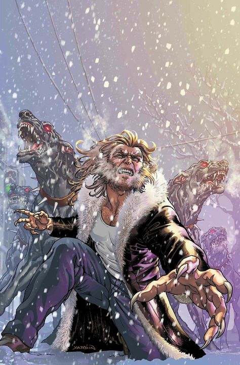 Sabretooth Marvel X Men Art, Sabretooth Marvel, Victor Creed, Wolverine Marvel, Marvel Villains, Rocket Raccoon, Bd Comics, Marvel Comic Universe, Uncanny X-men