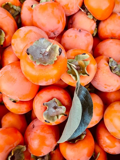 Autumn Fruits, Autumn Fruit, Fall Fruits, Fruit Photography, Persimmon, Trees, Fruit, Orange, Photography