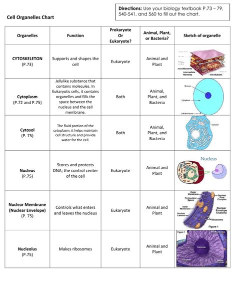 Image result for Cell Organelles and Their Functions Chart Cytoplasm Plant Cell Functions, Organelles And Their Functions, Animal Cell Parts, Plant Cell Organelles, Cell Parts And Functions, Cell Definition, Animal Cell Organelles, Cell Parts, Plant And Animal Cells