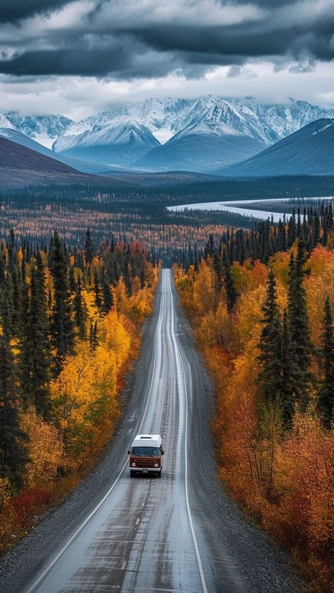 Dalton Highway Alaska, Colorful Forest, Forest Road, Majestic Mountains, Trending Pins, Autumn Scenes, Autumn Scenery, Wild Nature, Forest River