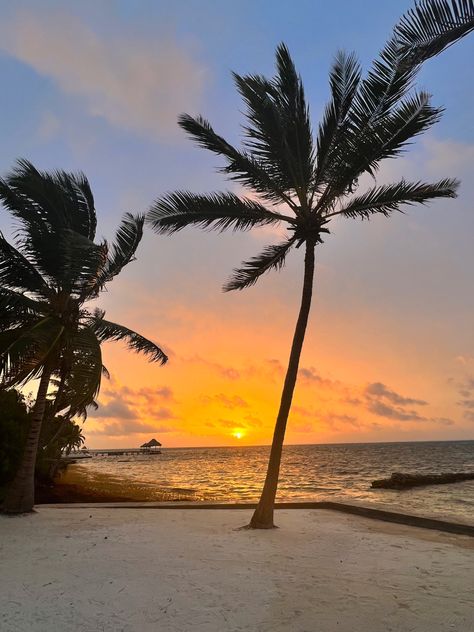 Sunrise. Island time. Caribbean. Dark Beach, Island Sunset, Morning Sunrise, Easter Island, Better Days, Better Day, Stay Positive, Sunset Views, Belize