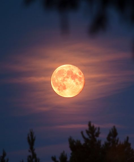 Full Moon Images Beautiful, Full Moon Pictures Photography, August Full Moon 2023, Astrological New Year, Virgo Full Moon, Full Moon Images, Let Go Of People, Full Moon In Leo, Full Moon In Virgo