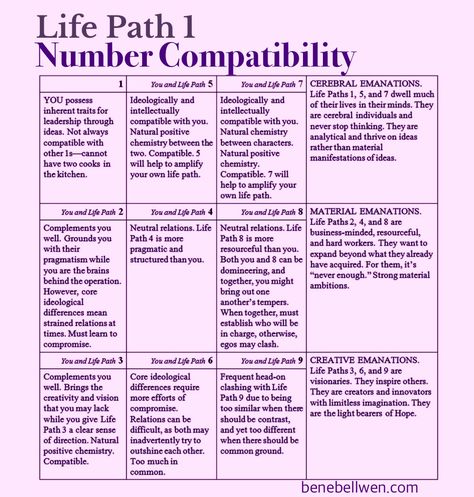 Life Path Number 9, Life Path 1, Life Path 5, The Wounded Healer, Numerology 3, Life Path Numbers, Aura Meditation, Meaning Of Your Name, Numerology Compatibility