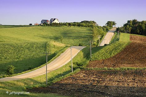 Iowa Farm Road, Rte 44  (West of Des Moines) by Jeff Wignall, via Flickr Iowa Farmhouse, Iowa Farms, Farm Road, Fort Myers Beach, Country Landscaping, Dirt Road, Back Road, Rural Life, Country Farm