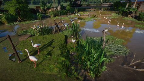 This is a flamingo and crane habitat build in Planet Zoo by Zimfira Games. The Speedbuild to this habitat is uploaded on youtube. Planet Zoo Habitat, Flamingo Habitat, Zoo Boo, Zoo Project, Zoo Architecture, Habitat, Flamingo, Planets, Architecture