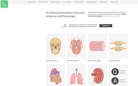 5 Best Free Anatomy Websites (For Medical Students & Beyond)! – willpeachMD Websites For Medical Students, Websites For Learning, Cell Biology Notes, Learning Anatomy, Medical Websites, Websites For Students, Mental Map, Learning Sites, Human Body Systems