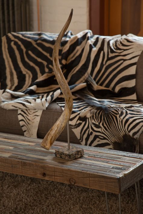 Animal Hide Decor, Safari Room Ideas, Safari Style Interior, Zebra Hide Rug, Safari Home Decor, Zebra Hide, Skin Craft, Safari Room, African Interior Design