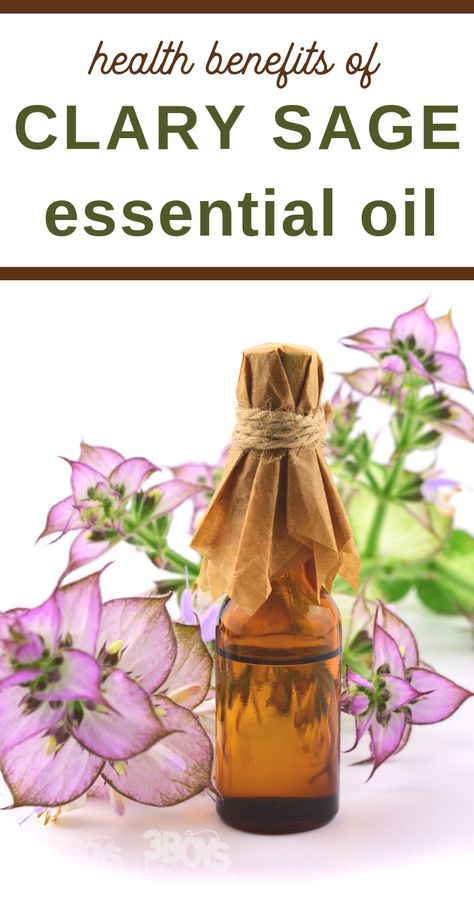 If you're wondering about the health benefits of Clary Sage, look no further than this informative post. All you need to know and more is here! Discovering the health benefits of essential oils is important. The more that you can educate yourself, the better you'll understand how to use essential oils. #essential oils #beauty #health #oil #rockymountainoils @3boysandadog Essential Oils For Laundry, Health Benefits Of Almonds, Estrogen Hormone, Benefits Of Essential Oils, Oils Essential, Gastric Juice, Cough Medicine, Clary Sage Oil, Sage Plant