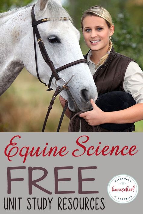 FREE Equine Science Unit Study Resources #homeschoolscience #horsescience #equinescience Horse Unit Study, Horse Anatomy Study, Unschooling Science, Equine Studies, Equine Science, Horse Study, Science Unit Studies, Horse Crazy Girl, Different Horse Breeds