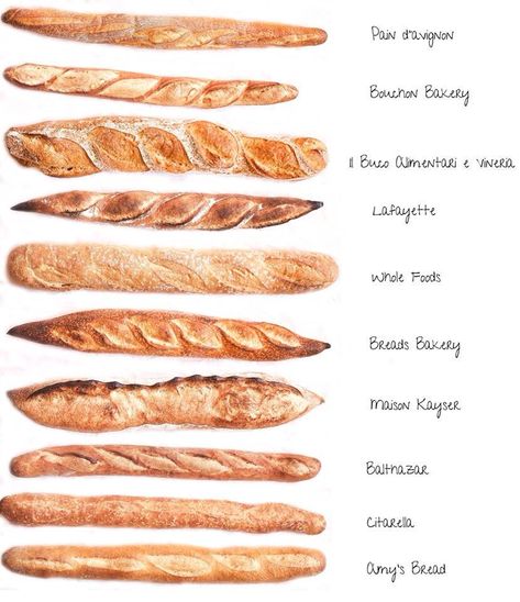 Pizza Baguette, Bouchon Bakery, Bread Scoring, Food Vocabulary, Bread Shop, Bread Shaping, Bread Art, Bread Bun, Bakery Shop