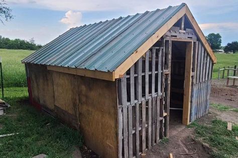 15 DIY Pallet Chicken Coop Ideas: Affordable Housings Diy Pallet Duck Coop, Chicken Coop Made From Pallets, Diy Pallet Chicken Coop, Pallet Chicken Coop, Pallet Coop, Pallet Buster, Chicken Coop Ideas, Chicken Coop Pallets, Coop Ideas