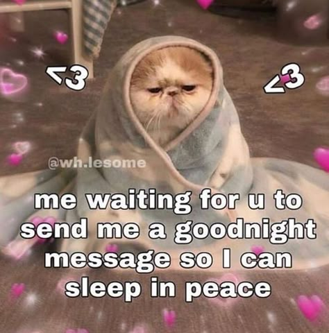 Goodnight Message, Sleep In Peace, Me Waiting, Response Memes, Waiting For U, Snapchat Stickers, Current Mood Meme, Cute Love Memes, Text Memes