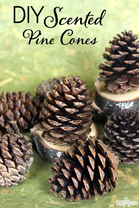 Fill your home with your favorite fragrance with festive scented pine cones. They are incredibly easy to make! Scented Pine Cones, Make Your House Smell Good, Pinecone Wreaths, Homemade Potpourri, Scented Pinecones, Soap Queen, Pinecone Crafts, Potpourri Recipes, Diy Scent