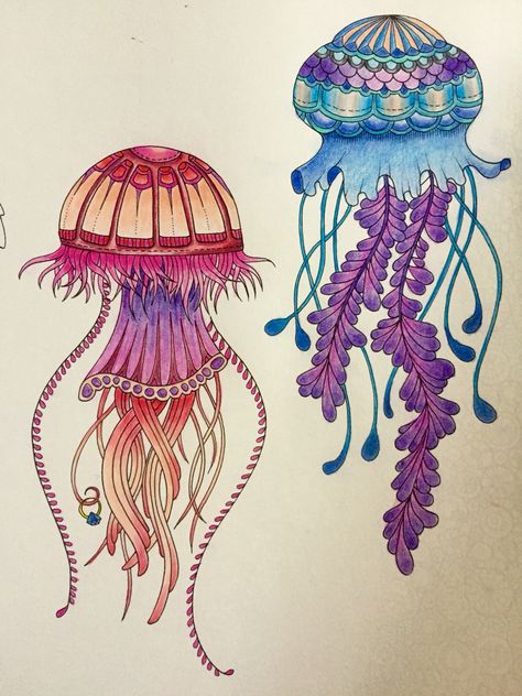 Jellyfish: Lost Ocean by Johanna Basford Jellyfish Drawing Color, Jellyfish Design Illustration, Cute Jellyfish Art, Jellyfish Quotes, Painting Jellyfish, Johanna Basford Lost Ocean, Jellyfish Jewelry, Ocean Jellyfish, Lost Ocean Coloring Book