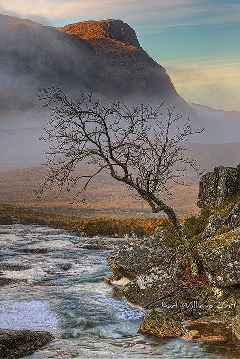 Scotland Forever, Rowan Tree, Misty Morning, Lone Tree, Scotland Highlands, Scottish Castles, Scottish Landscape, Voyage Europe, England And Scotland