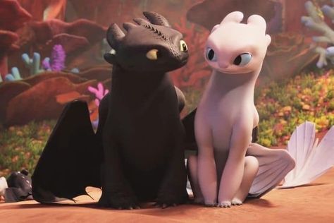 Cute Toothless, Toothless And Stitch, Cute Dragon Drawing, Httyd Art, Toothless Dragon, Dragon Trainer, Disney Animals, Night Fury, Cartoons Love