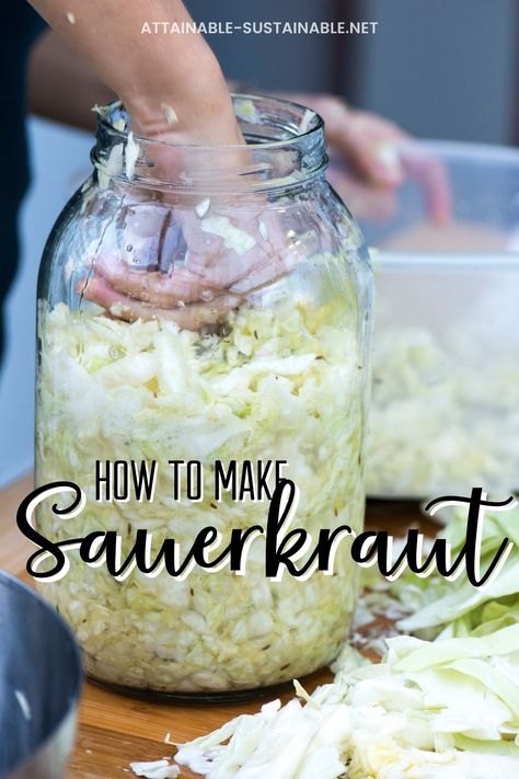 hand pressing cabbage into a large glass jar Homemade Sauerkraut Recipes Fermenting, Canning Saurkraut Recipes, Sauerkraut Recipes For Canning, Diy Sourkrout, Fresh Sauerkraut Recipes, Saurkraut Recipes Homemade Quick, How To Make Sauerkraut In A Jar, How To Make Homemade Sauerkraut, How To Make Saurkraut Recipes