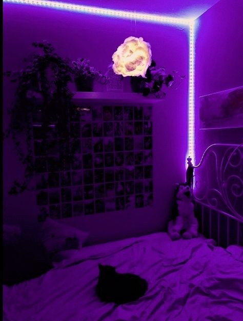 Purplecore Anime, Kpop Purplecore, Aesthetic Labels, Aesthetic Led Lights, Led Lights Bedroom, Glass Coffin, Nymphadora Tonks, Color Icons, Birthday Presents For Friends