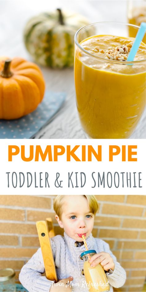 Pumpkin Smoothie Healthy, Pumpkin Smoothie Recipe, Fall Smoothies, Toddler Meal Ideas, Toddler Smoothies, Pumpkin Snack, Resep Smoothie, Pumpkin Pie Smoothie, Pumpkin Smoothie