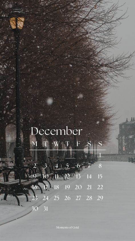 December 2024 Calendar Wallpaper, Phone Wallpaper, Winter Vibes, Christmas Aesthetics, Cozy Weather, snowy street, walk in the snow, winter walking, city snow, Winter Photoshoot, Background, Monthly Wallpaper Design Christmas Winter Wallpaper Aesthetic, January Aesthetic Month Calender, December Aesthetic Cozy Wallpaper, Cute Winter Wallpapers Aesthetic Iphone, Winter Vibe Wallpapers, December 2024 Wallpaper, Xmas Background Aesthetic, Scandinavian Winter Aesthetic, Winter Is Coming Wallpapers