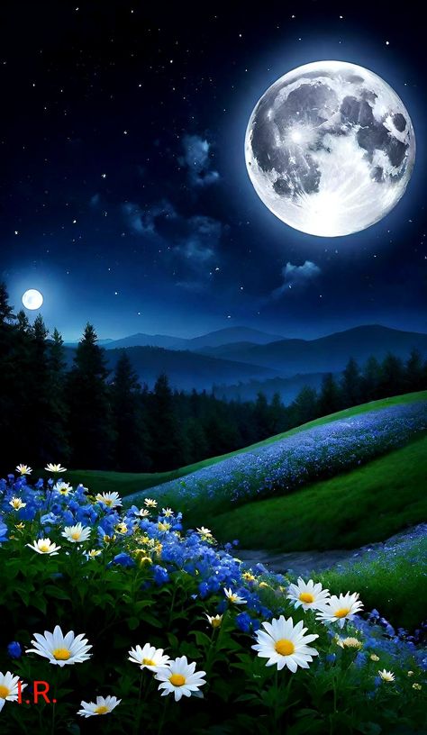 Moon And Flowers, Beautiful Moon Pictures, Trippy Iphone Wallpaper, Best Nature Images, Blurred Background Photography, Good Night Moon, Beautiful Wallpapers Backgrounds, Beautiful Images Nature, Beautiful Moon