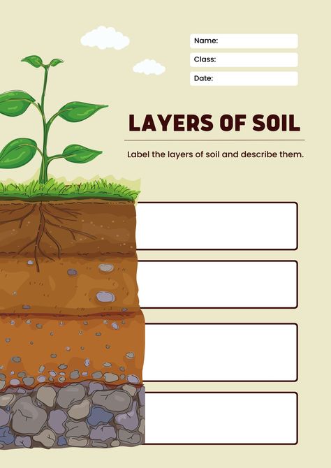 Layers Of Soil Worksheet, Soil Worksheet, Soil Profile, Layers Of Soil, Soil Activities, Soil Layers, Teaching Science, Worksheets For Kids, Student Learning