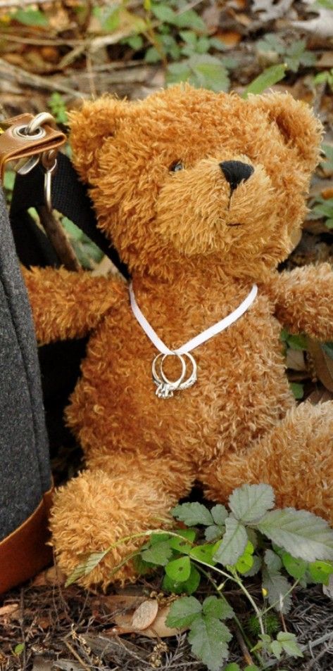 Young ring bearer takes rings down the aisle on favorite teddy Forest Wedding Ring Bearer, Ring Bear Outfit, Wedding Ideas Dog Ring Bearer, Ring Bearer Stuffed Animal, Owl Ring Bearer, Teddy Bear Wedding, Rustic Ring Bearer Pillow, Ring Bearer Proposal, Wisteria Lane