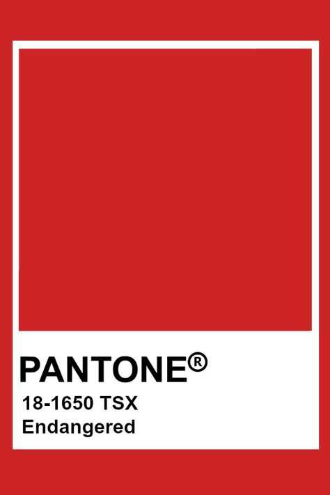 Pantone Red Orange, Pantone Red Shades, Red Pantone, Pantone Red, Pantone Color Chart, Pantone Palette, Pantone Colour Palettes, Pantone Colors, Colour Board