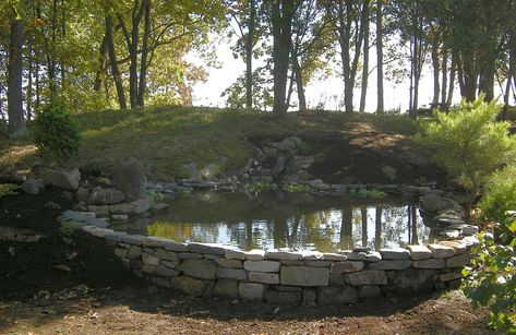 Pond on a slope Diy Pond Pool, Woodland Pond, Backyard Pond, Garden Pond Design, Hillside Garden, Pond Fountains, Pond Life, Sloped Garden, Pond Design