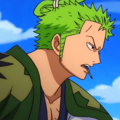 Zoro Side Profile, Ronoroa Zoro, Zoro Roronoa, Adventure Fiction, Watch One Piece, Eyes Emoji, Zoro One Piece, One Piece Drawing, One Piece Comic