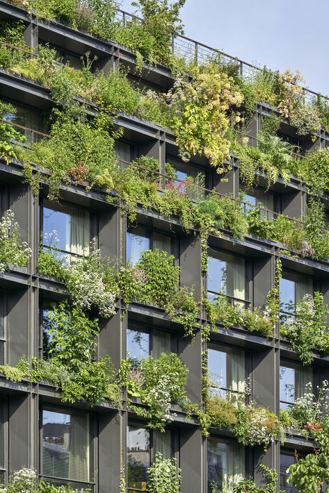 A naturalistic manifest: this is the definition of Villa M, a mixed-use complex to be inaugurated on September 15th,2021, in Boulevard Pasteur, in the Parisian borough of Montparnasse. Designed by French-Brazilian architecture agency Triptyque Architecture, the project aims to create a new pact between city, nature, and health. Pretty Fence, Brazilian Architecture, Biophilic Architecture, Wall Green, City Nature, Green Facade, Vertical Gardens, Architecture Inspiration, Green Architecture