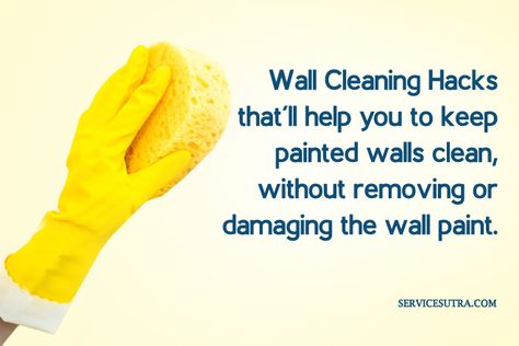 How To Wash Walls Without Removing Paint, Clean Walls Without Removing Paint, Removing Paint, Painting Walls, Washing Walls, Masonry Wall, Painted Walls, Create Decor, Household Cleaning Tips