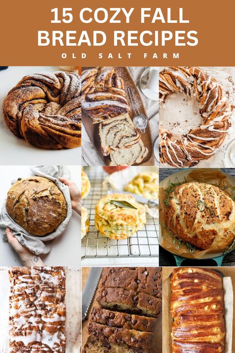 15 Cozy Fall Bread Recipes Best Fall Bread Recipes, Fall Yeast Bread Recipes, Fall Breads To Make, Special Bread Recipes, Cottagecore Recipes Bread, Pretty Bread Recipes, Fall Sourdough Bread Recipes, Bread For Gifts Holidays, Autumn Bread Recipes