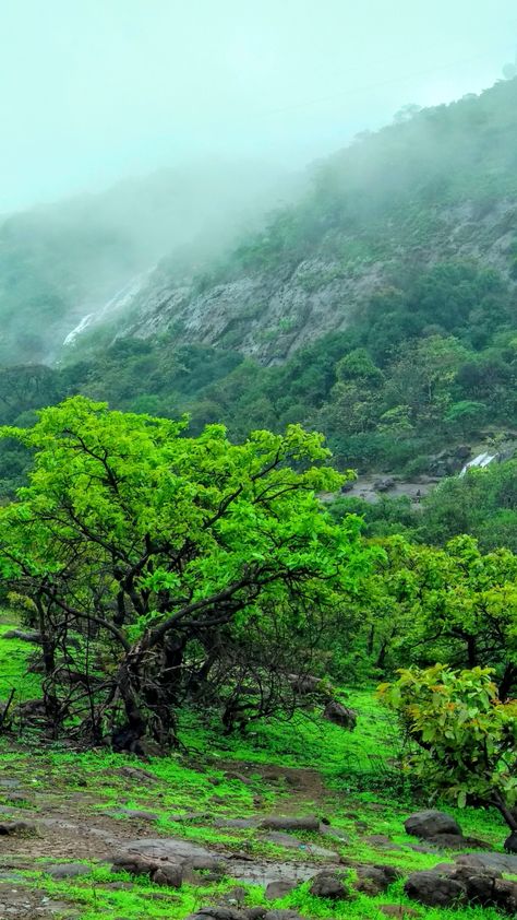 Rain Photography India, Lonavala Aesthetic, Lonavala Photography, Suraj Photo, Monsoon Wallpaper, Seasons Photography, Monsoon Season, Holiday Travel Destinations, Dont Touch My Phone Wallpaper