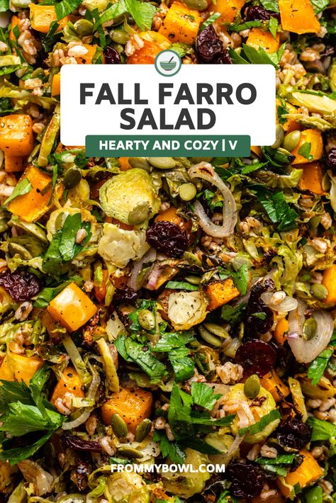 Fall Salad Ideas, Fall Farro Salad, Easy Fall Salad, Salad With Butternut Squash, Farro Salad Recipes, Farro Recipes, Pomegranate Vinaigrette, Apple Cider Vinaigrette, Apple Walnut Salad