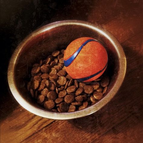 Put a ball in your dog’s food bowl if he or she eats too fast. | 38 Brilliant Hacks For Dog Owners Dog Life Hacks, Dog Food Bowls, Dog Info, Dog Hacks, Pet Hacks, He Or She, Dog Parents, Dog Eating, Food Bowl