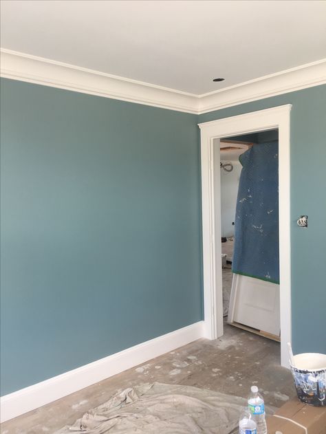 The office painted in BM Sea Star. Sea Star Benjamin Moore Exterior, Sea Star Paint Color, Bm Sea Star, Sea Star Benjamin Moore, Bedroom Reset, Wall Decor Living Room Modern, Office Guest Bedroom, Hallway Makeover, Wall Color Combination