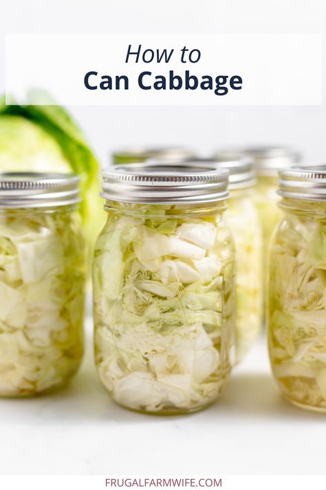 Canning Cabbage: Step-By-Step Guide - The Frugal Farm Wife Canning Red Cabbage Recipes, How To Can Cabbage, Canning Cabbage Recipes Water Bath, Canning Cabbage Water Bath, Cabbage Canning Recipes, Canned Cabbage Recipes, Canning Cauliflower, Canned Cabbage, Canning Cabbage Recipes