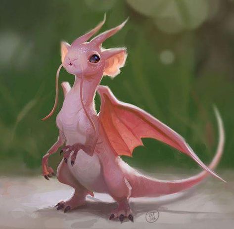 Pet Anime, Tiny Dragon, Pink Dragon, Mythical Animal, Cute Fantasy Creatures, Fantasy Beasts, Creature Drawings, Dragon Pictures, White Dragon