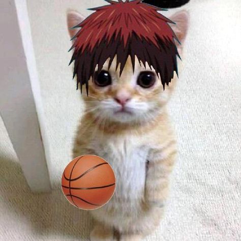 knb.kuroko on TikTok Knb Kuroko, Kuroko No Basket Characters, Basketball Anime, Kagami Taiga, Red Hair Woman, Kuroko's Basketball, Very Funny Pictures, No Basket, Kuroko No Basket