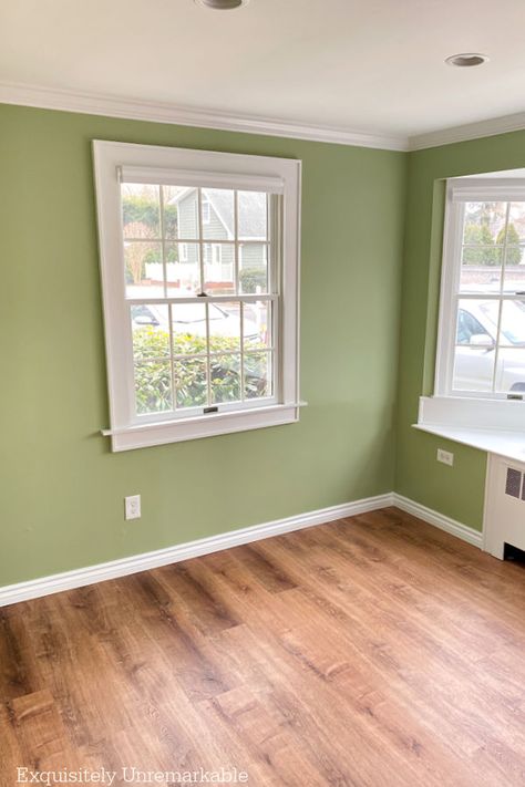 Green Painted Living Room Paints For Hall Walls, Green Shade Wall Paint, Green Living Room Benjamin Moore, Pistachio Green Wall, Warm Light Green Paint Colors, Apple Green Paint Colors, House Colors Interior Ideas Living Rooms, Soft Green Room, Bright Living Room Paint Color Ideas