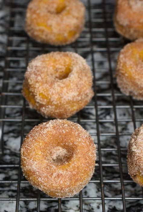 Baked Pumpkin Spice Donuts with Cinnamon Sugar. Easy and delicious 20 minute start to finish pumpkin donut recipe. Easy Pumpkin Donut Recipe, Pumpkin Baking Recipes, Pumpkin Donuts Recipe, Pumpkin Donut, Baked Donut, Mini Cupcake Pan, Pumpkin Spice Donut, Baked Donut Recipes, Cinnamon Sugar Donuts