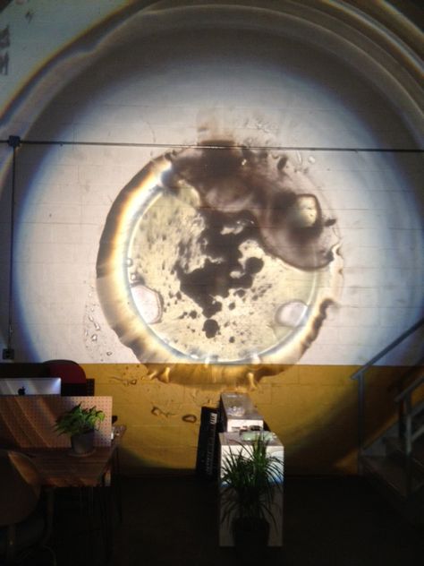 DA@OASN1@Bat Haus Overhead Projector Art, Projector Art, Gallery Installation, Projection Design, Overhead Projector, Shadow Theatre, Lights Artist, Projection Mapping, Gas Oven