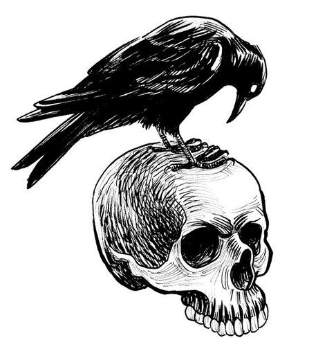 Crow On Skull, Work Printables, Usmc Tattoo, Embroidery Skull, Magnolia Design Co, Diy Fall Decor, Halloween Stencils, Crow Tattoo, Crow Skull