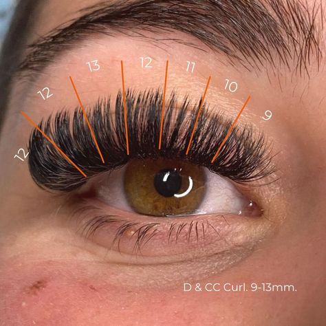 Mega Volume Lash Map Eyelash Extensions Lash Map Mega Volume, Mega Volume Lash Mapping, Mega Volume Mapping, Mega Volume Lash Map, Volume Lash Mapping, Mega Volume Lash Extensions Mapping, Map Eyelash Extensions, Volume Lash Map, Lashes Map